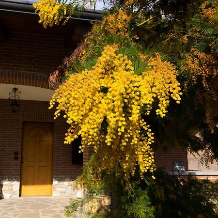 Villa Anna Moncalieri Bagian luar foto